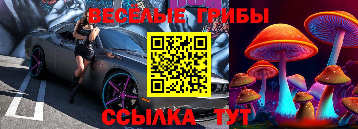 Хабаровск  Псилоцибиновые грибы MAGIC MUSHROOMS  Галлюциногенные грибы Magic Shrooms  Вход с VPN 